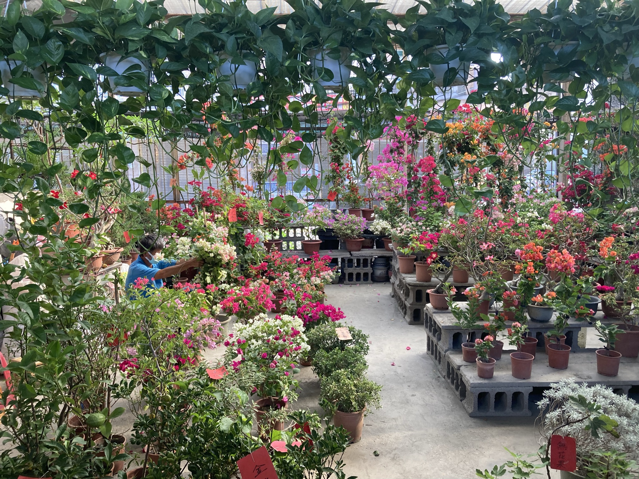 flower market